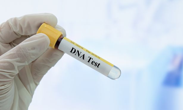 De beste DNA-testkits in 2020