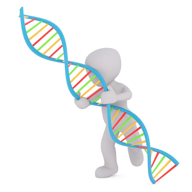 Mijn DNA-test beweert dat ik iemand anders ben!