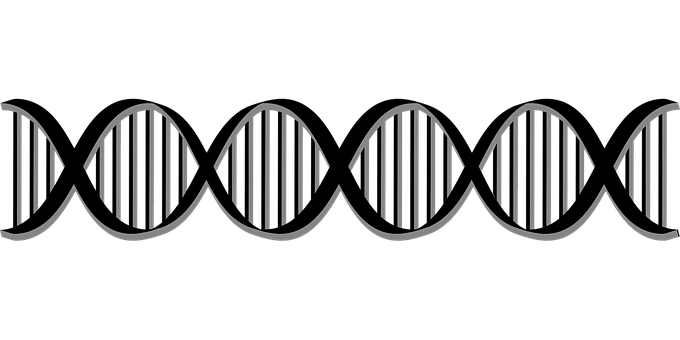 Top DNA-onderzoek Nederland door China gefinancierd