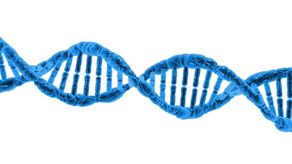 Vertraging van de vraag in de hele DNA-categorie