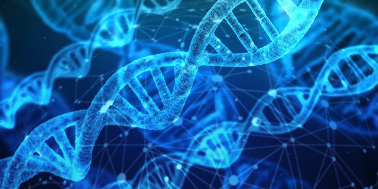Beste DNA-tests voor voorouders