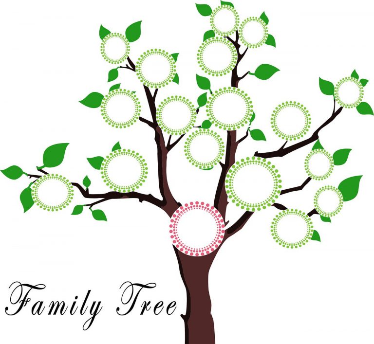 V: Wat is de Big Y-700 test aangeboden door Family Tree DNA? Heb ik het nodig?